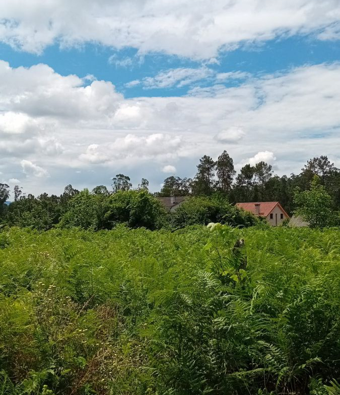 Solar en Venta en Salvaterra De Miño
