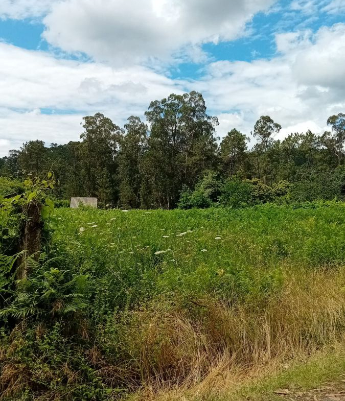 Solar en Venta en Salvaterra De Miño