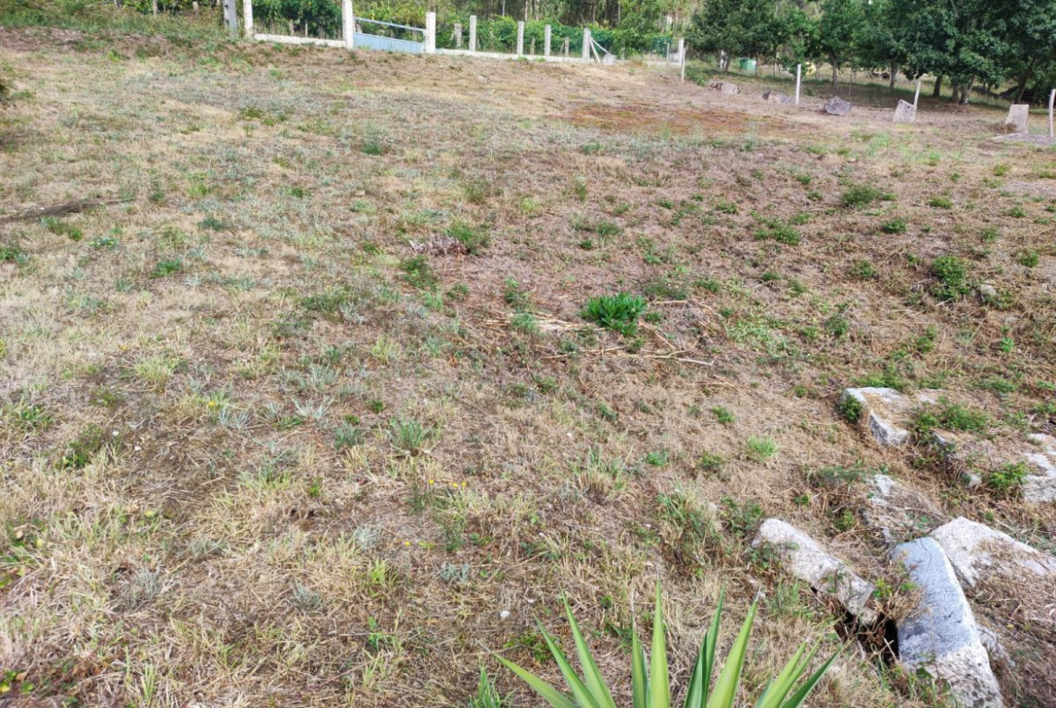 Solar en Venta en Porriño (O)