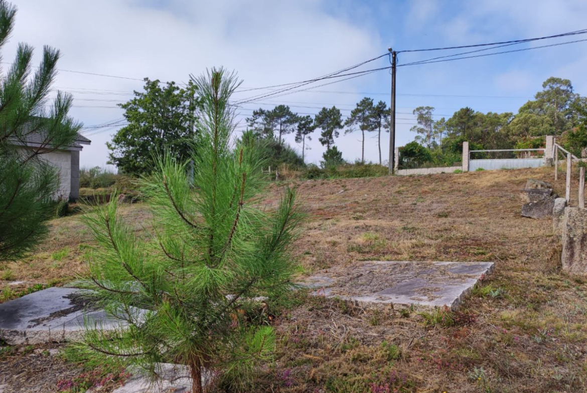 Solar en Venta en Porriño (O)