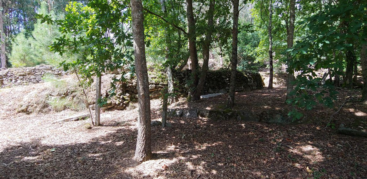 Casa en Venta en Salceda De Caselas
