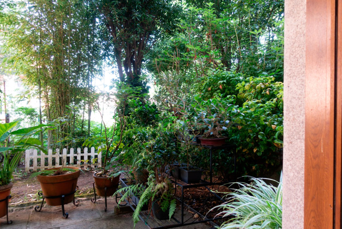 Chalet en Venta en Salceda De Caselas
