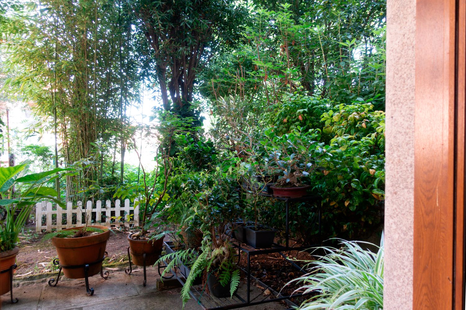 Chalet en Venta en Salceda De Caselas