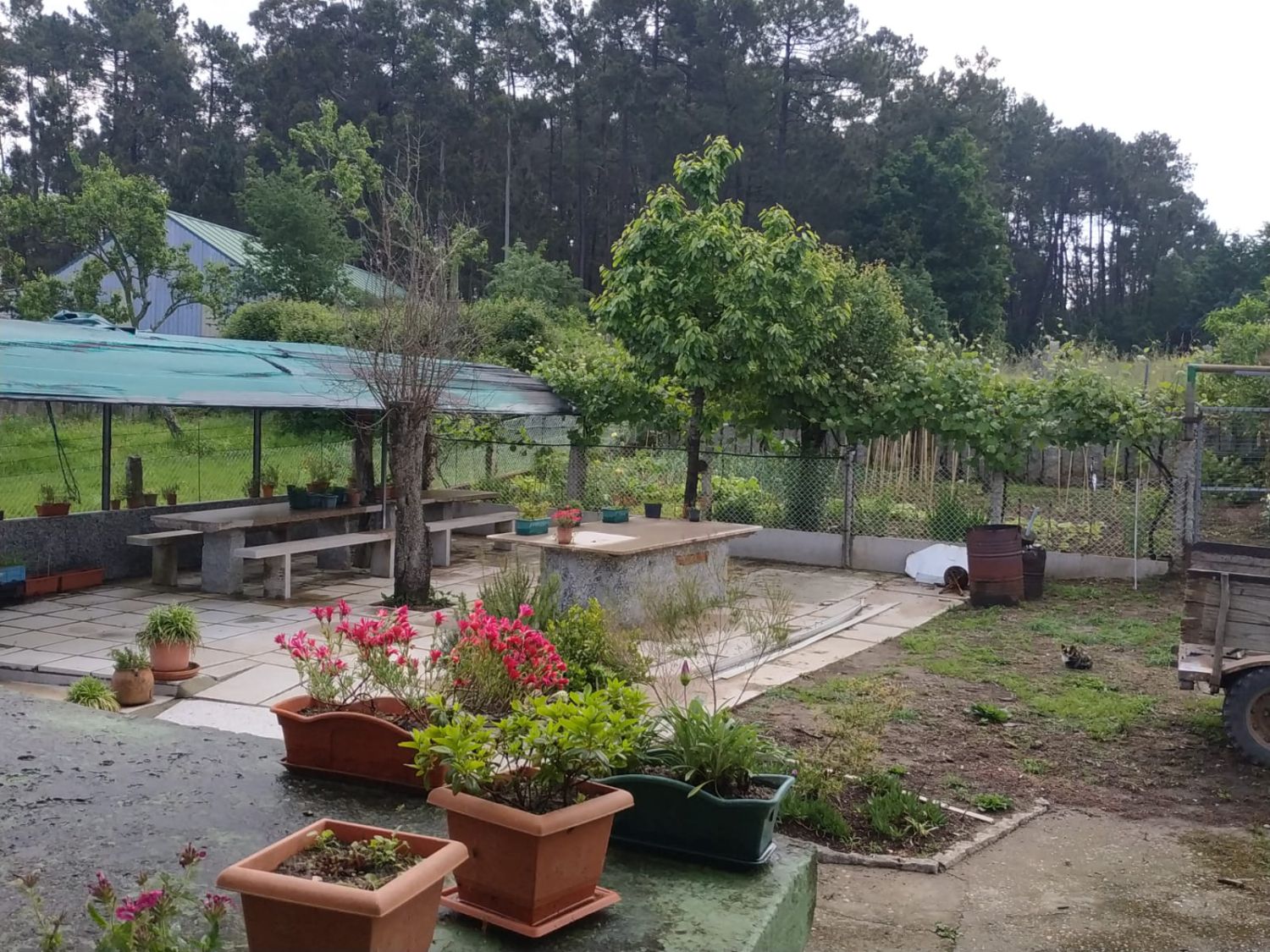 Casa en Alquiler en Salvaterra De Miño