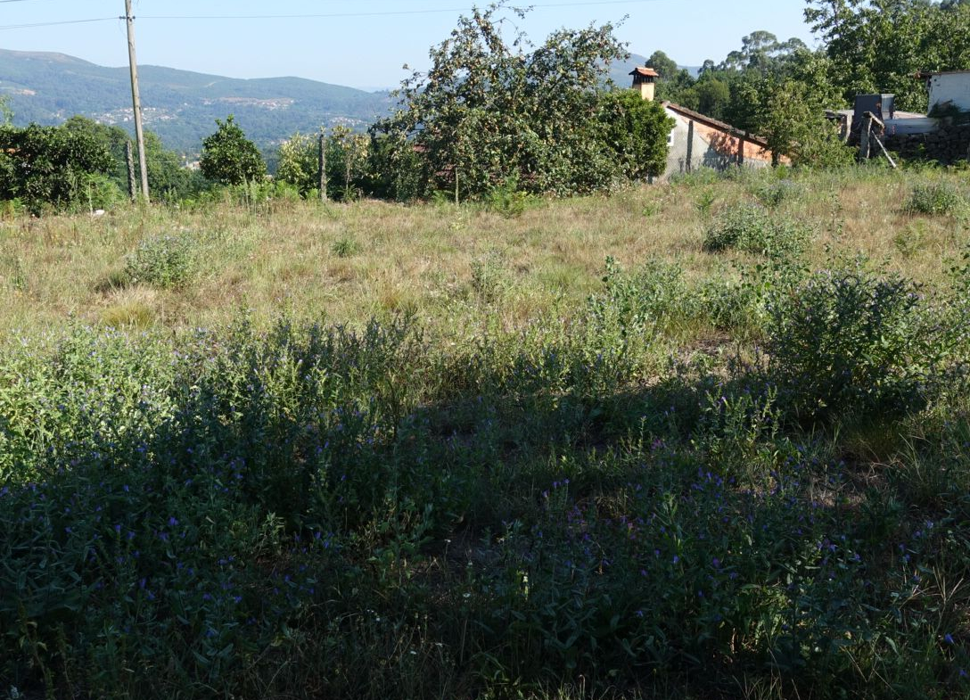 Casa en Venta en Ponteareas
