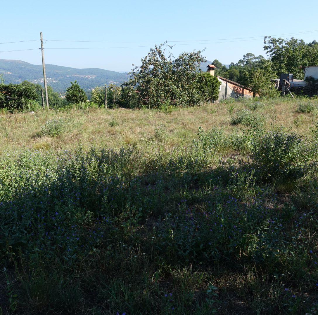 57641447_16 Casa en Venta en Ponteareas