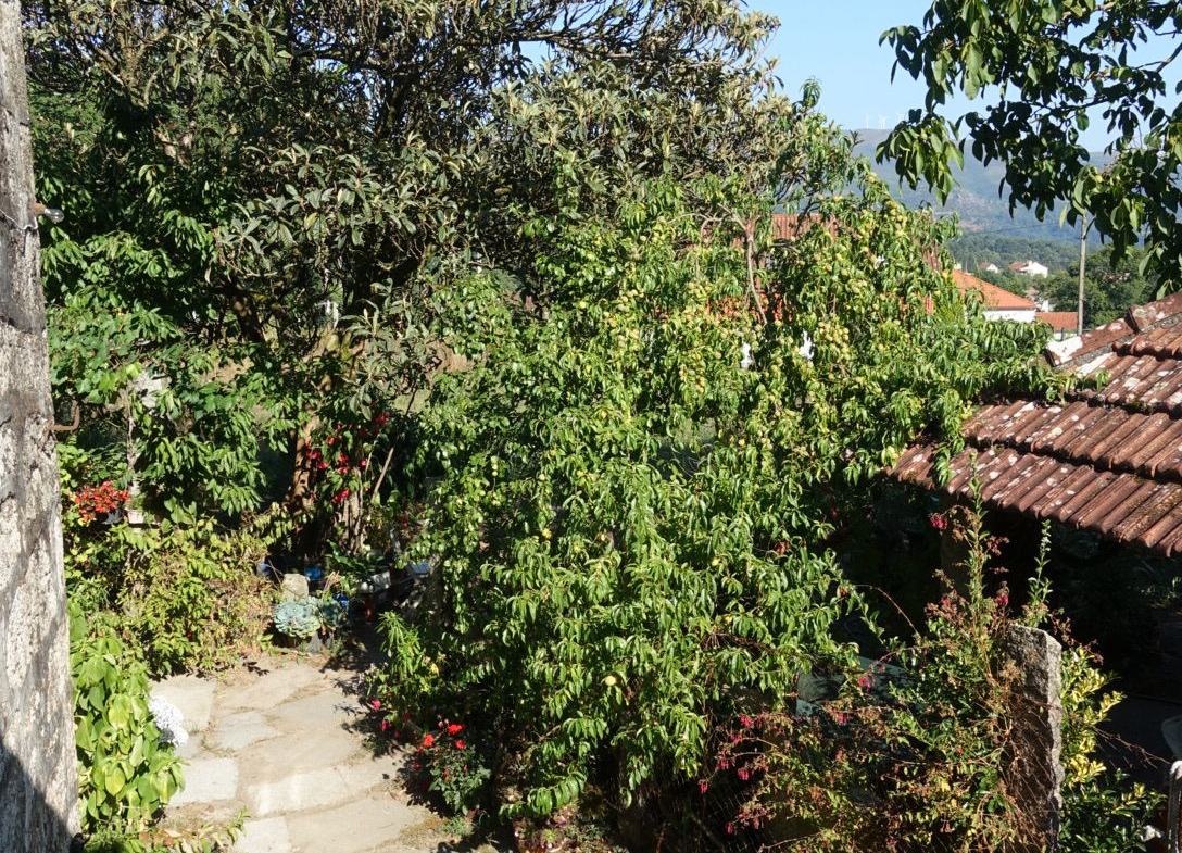 Casa en Venta en Ponteareas
