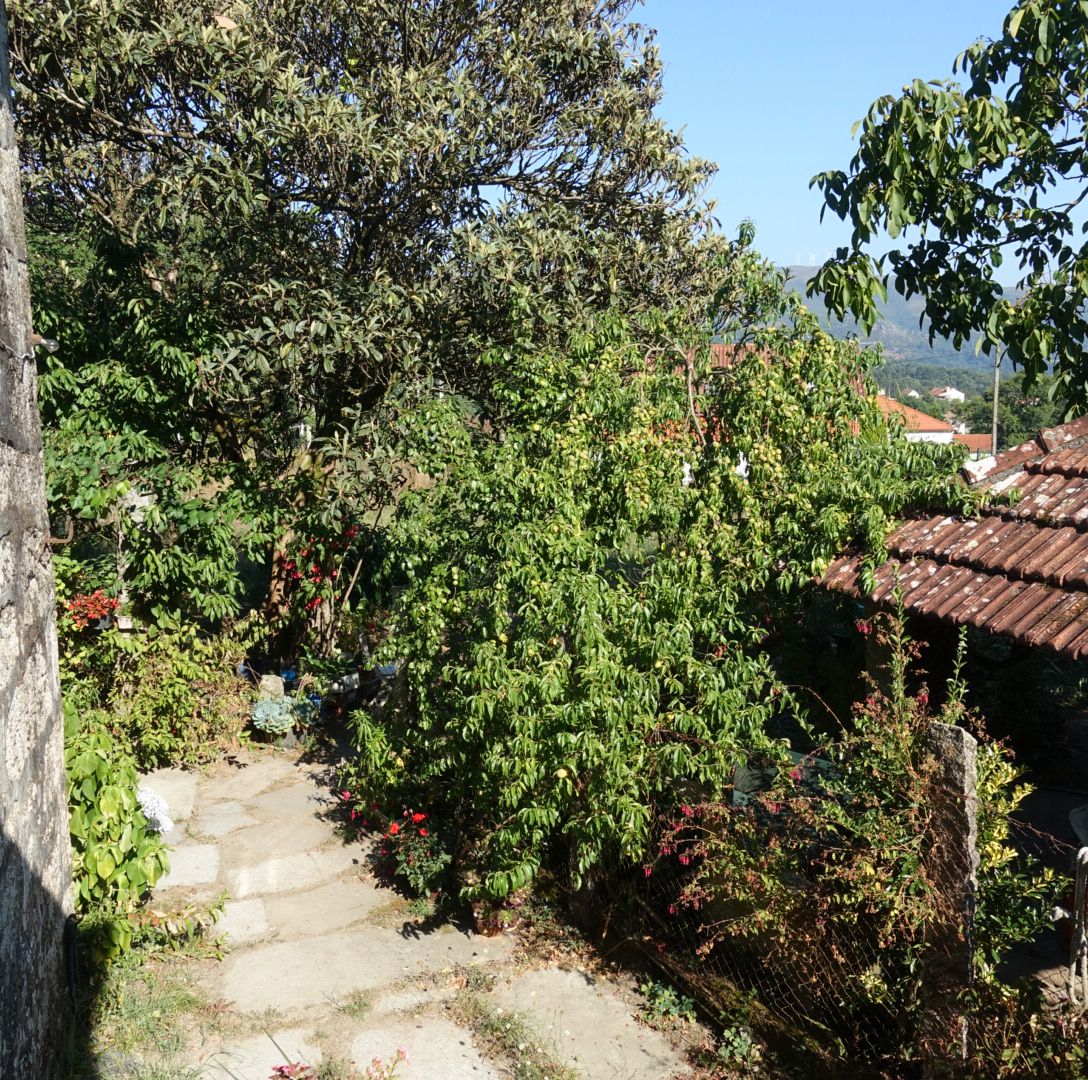 57641447_22 Casa en Venta en Ponteareas