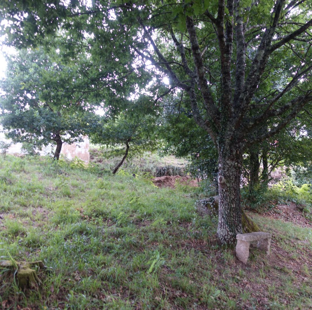 57641448_8 Solar en Venta en Mos