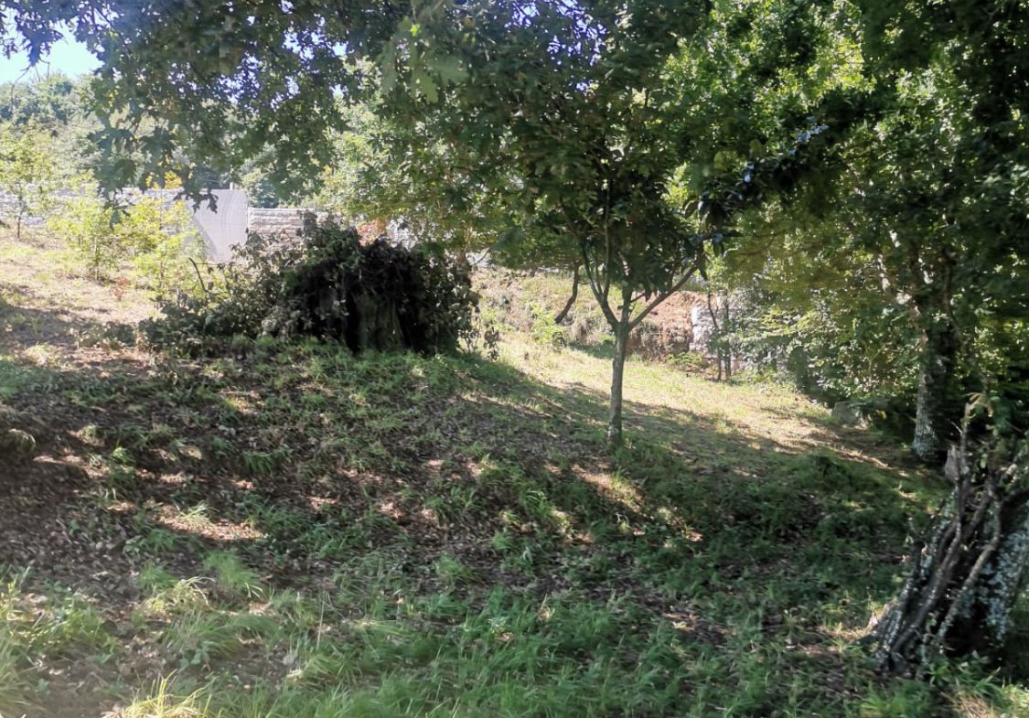 Solar en Venta en Mos