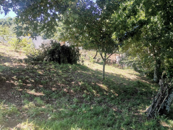 Solar en Venta en Mos