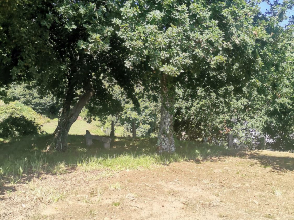 Solar en Venta en Mos