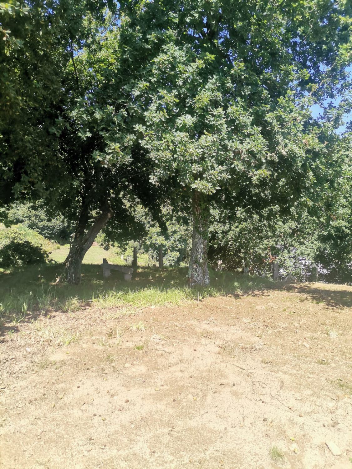 57641448_20 Solar en Venta en Mos