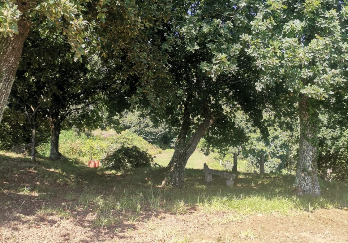 Solar en Venta en Mos
