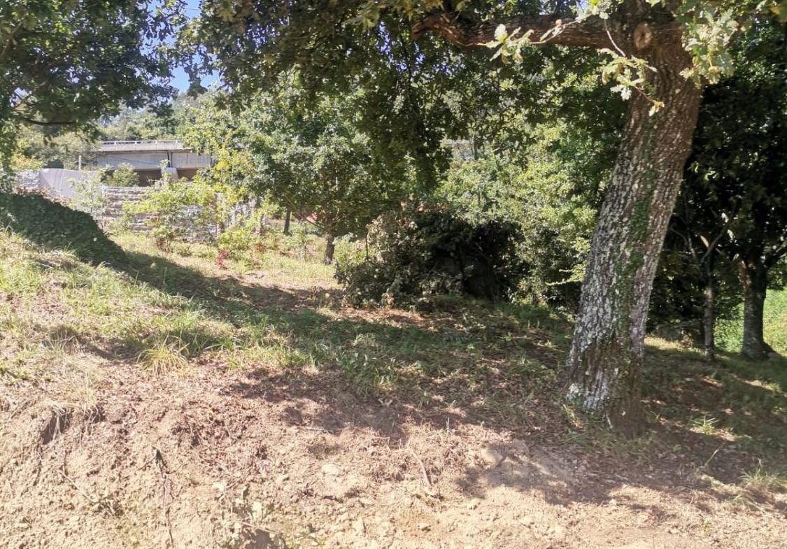 Solar en Venta en Mos