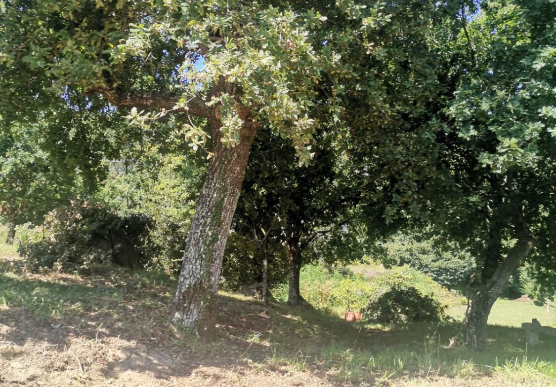 Solar en Venta en Mos