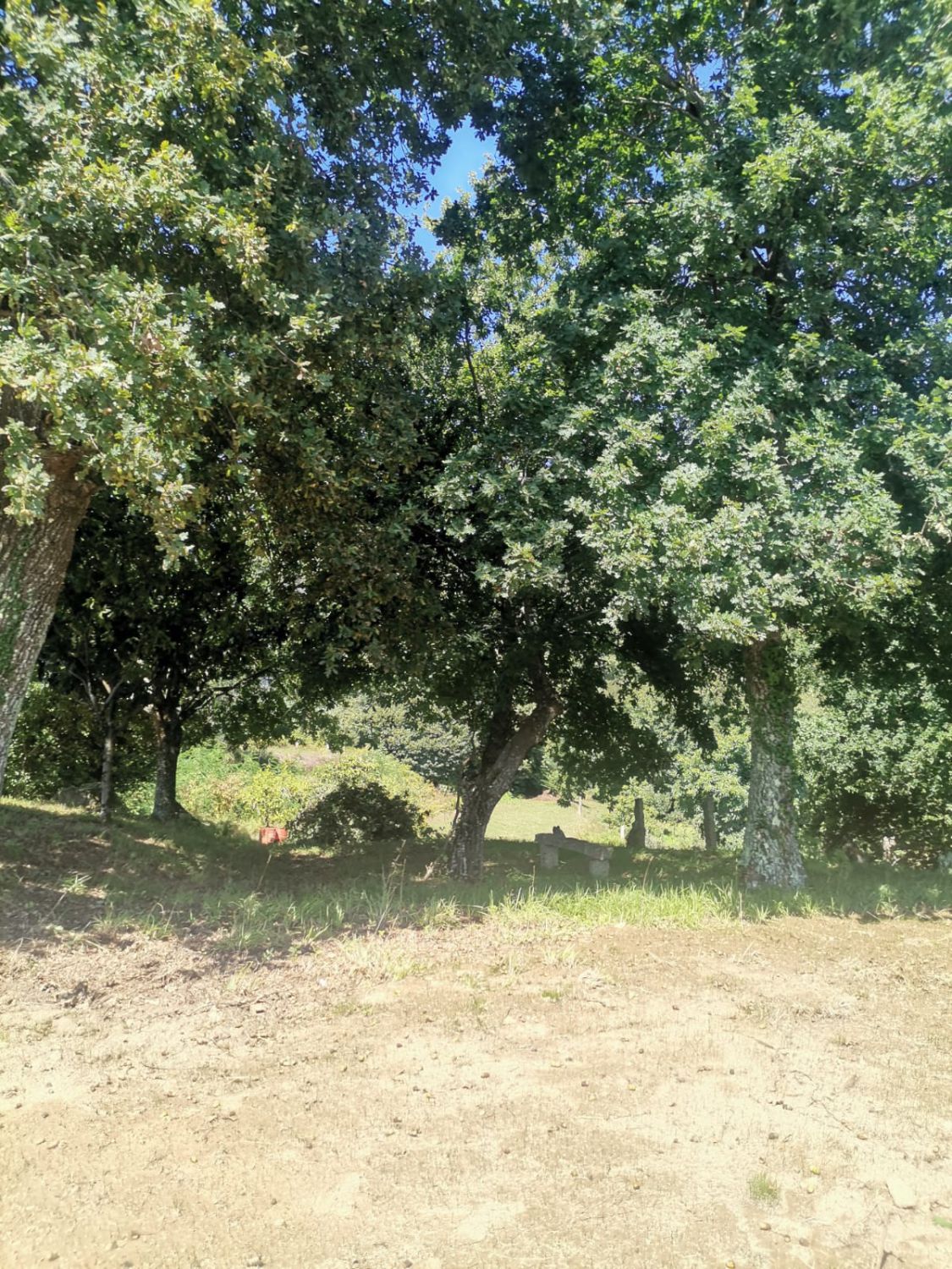 57641448_26 Solar en Venta en Mos