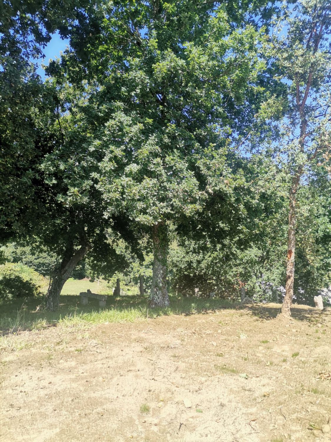 57641448_27 Solar en Venta en Mos